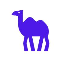 CAMEL logo